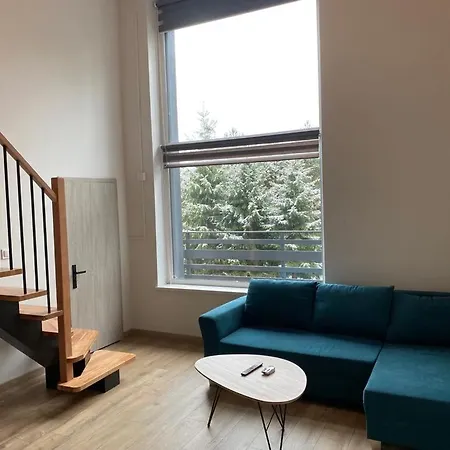 Willa Platanowe Wzgorze Wojcieszyce Zimmer foto