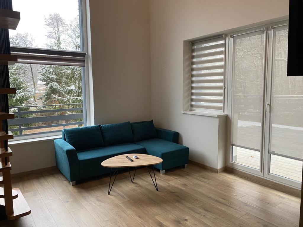 Platanowe Wzgorze Apartment Wojcieszyce